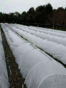 Varillas de fibra de vidrio de productos agrícolas de estaca de vivero Frp de alta calidad - Product Image 6