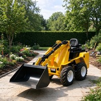 Mini Loader Desain Multifungsi Berbagai Model Inspeksi Sebelum Pengiriman untuk Pembeli Global di Seluruh Dunia