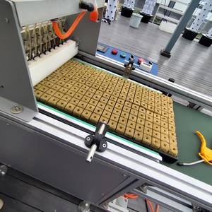 Piantatrice di precisione seminatrice a prezzi accessibili seminatrice di verdure per piccoli allevamenti commerciali vivaio di ortaggi - Product Image 4