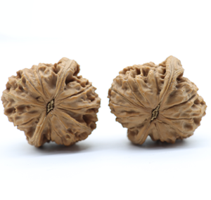 Artisanat naturel Wenwan : Noix de Chine ovales au toucher réel, jouets de bureau en bois pour l'exercice de la paume, objets de collection précieux sélectionnés - Product Image 2