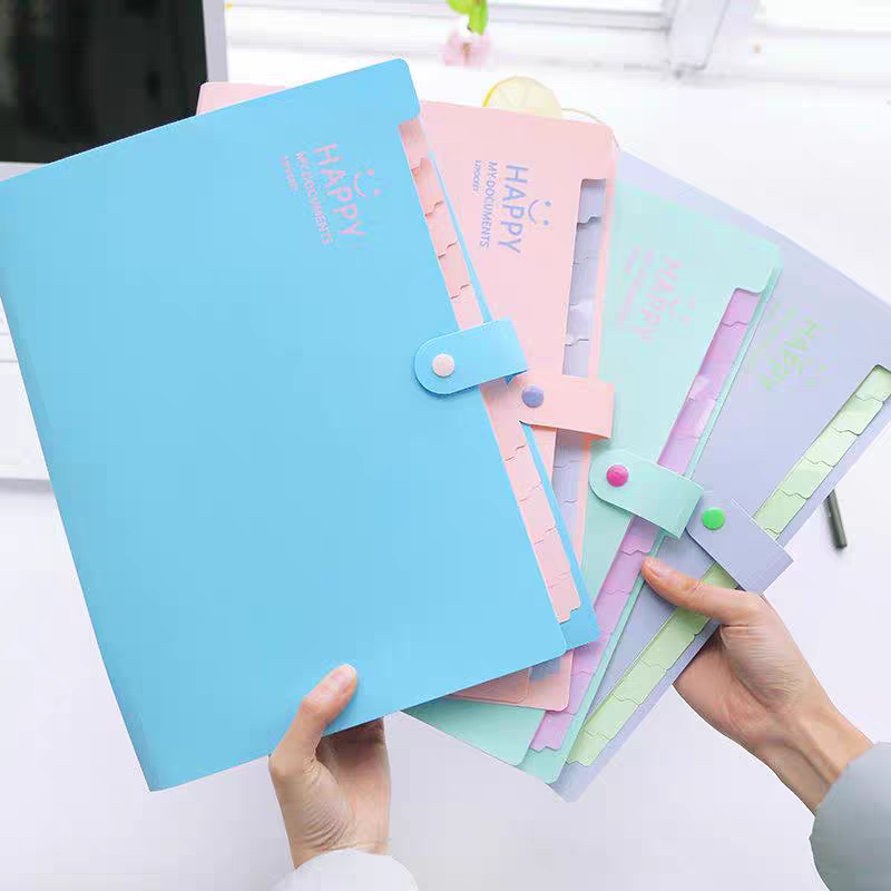 12 Pocket Letter Size Accordion File