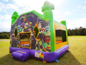 Haute qualité <span class=keywords><strong>Teenage</strong></span> <span class=keywords><strong>Ninja</strong></span> <span class=keywords><strong>Turtles</strong></span> Jumping Bounce House Château gonflable gonflable à vendre - Product Image 2