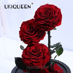 Regalo <span class=keywords><strong>de</strong></span> Cumpleaños <span class=keywords><strong>de</strong></span> <span class=keywords><strong>aniversario</strong></span> <span class=keywords><strong>de</strong></span> lujo rosa roja preservada Real hecha <span class=keywords><strong>a</strong></span> <span class=keywords><strong>mano</strong></span> cúpula <span class=keywords><strong>de</strong></span> cristal Rosa eterna con caja <span class=keywords><strong>de</strong></span> regalo - Product Image 4