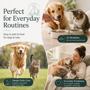 Soins bucco-dentaires professionnels pour chiens et chats, poudre dentaire, contrôle de la plaque dentaire, haleine fraîche, formule personnalisée, étiquette privée - Product Image 4