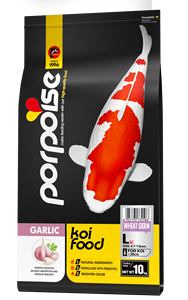 Nourriture colorante pour poisson <span class=keywords><strong>Koi</strong></span>, <span class=keywords><strong>croissance</strong></span> premium, <span class=keywords><strong>carpe</strong></span>, bébé poisson, nourriture <span class=keywords><strong>koi</strong></span> (nourriture) - Product Image 2