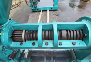 Presse à <span class=keywords><strong>huile</strong></span> de <span class=keywords><strong>tournesol</strong></span> automatique de haute qualité, pressage à froid et à chaud, 300 kg/h, fabricants d'usine, marque Guangxin 130 - Product Image 2
