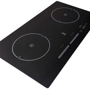 Travel Electric Cooker Induction Stoves 120V 220V - Product Image 1