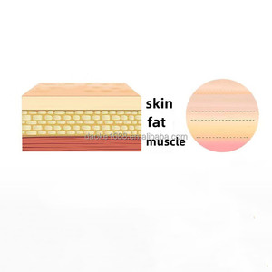 Kit de Maniquí de Práctica de Sutura para Principiantes de Alta Calidad, Piel de Silicona Realista, Aprende Técnicas Básicas y Avanzadas de Sutura, Hecho en China - Product Image 3