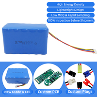 Batterie solaire au lithium-ion rechargeable 12V 16AH 20AH avec BMS intégré 18650