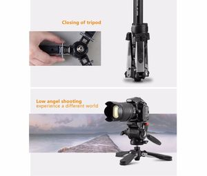 Trépied <span class=keywords><strong>monopode</strong></span> portable professionnel Weifeng WF-3978M pour la photographie et le tournage vidéo en extérieur - Product Image 3