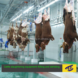 Ligne de production d'abattoirs de vaches <span class=keywords><strong>halal</strong></span> abattoir haute efficacité pour équipement de <span class=keywords><strong>boucherie</strong></span> - Product Image 3