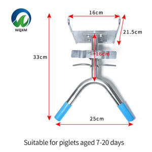 304 स्टेनलेस स्टील कबूतर कैस्ट्रशन रैक पशु पशुपालन के लिए पशु पशुपालन उपकरण - Product Image 3