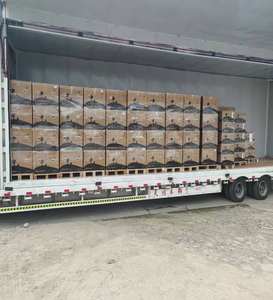 Onduleur solaire hybride Growatt sur réseau <span class=keywords><strong>MID</strong></span> 11~30KTL3-XH Triphasé 11-30Kw Système domestique Onde sinusoïdale pure 98% d'efficacité - Product Image 5