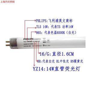 Tube lumineux <span class=keywords><strong>T5</strong></span> <span class=keywords><strong>28W</strong></span> Les trois couleurs primaires TL5 14W/865 YZ14RR16/G 21W Tube fluorescent <span class=keywords><strong>28W</strong></span> - Product Image 3