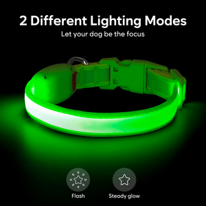 Collier LED rechargeable USB en gros pour chien, accessoires pour animaux de compagnie en plastique avec boucle clignotante pour Halloween, Noël et Nouvel An - Product Image 2