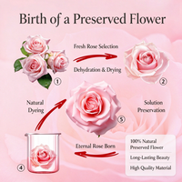 Boîte à fleurs éternelles double porte avec ours en peluche, étui à bijoux, emballage cadeau de luxe pour la Saint-Valentin, vente en gros