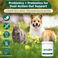 Compléments Gommeux Probiotiques à Enzymes de Levure avec Prébiotiques et Vitamines Oméga de Citrouille pour une Absorption Rapide – Soin de Santé pour Animaux de Compagnie