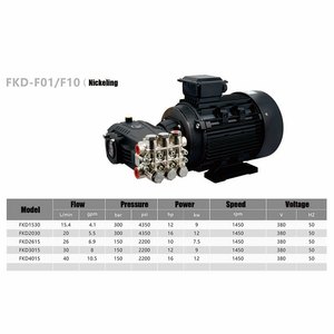 <span class=keywords><strong>Pompe</strong></span> à haute pression pour lave-auto électrique Feike avec moteur 40lpm <span class=keywords><strong>300</strong></span> bar 150bar Triplex Plunger avec moteur <span class=keywords><strong>Jet</strong></span> Washer - Product Image 2