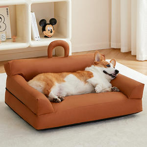 <span class=keywords><strong>2026</strong></span> Bestseller Robuste und langlebige Cartoon-Plane Hundehütte Mittlere und große Katzen und Hunde Alle Jahreszeiten Anti-Biss - Product Image 3