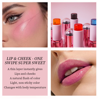 Bâton de blush en gelée végétalien imperméable en gros pour OEM, maquillage naturel pigmenté à base de minéraux, sans cruauté animale, marque privée