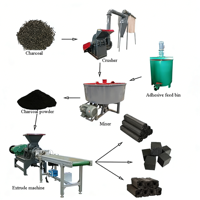 Ligne de fabrication de briquettes de charbon de coco pour chicha