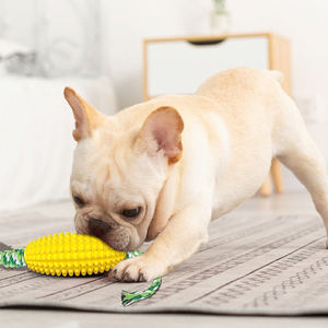 Özel güçlü Squeak yıkılmaz diğer Pet aksesuarları köpek çiğnemek oyuncak agresif chepuzzle bulmaca kedi köpek oyuncak top Pet oyuncaklar (eski) - Product Image 4