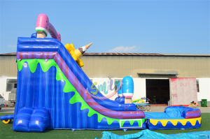 <span class=keywords><strong>Location</strong></span> de fête d'été Offre Spéciale bon marché piscine de toboggan aquatique à crème glacée toboggan gonflable commercial avec petite piscine - Product Image 4