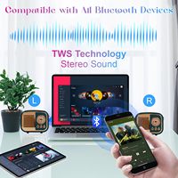 Altavoces Inalámbricos Personalizados de Caja Retro con Bluetooth, Nuevo Diseño Clásico, Hermoso, Vintage y Portátil con Radio FM y Entrada AUX