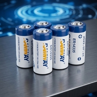 Batterie cylindrique au lithium ER14335 3,6 V avec protection contre les surintensités, panneau de protection, entrée AC/DC, vente en gros