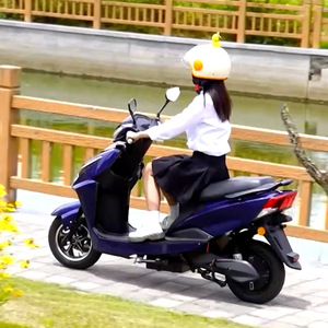 Motocicleta Clásica para Adultos, Superventas en India, Motor de 10/12 Pulgadas, 600W/800W, Velocidad de 50 km/h, Motocicleta Económica - Product Image 3