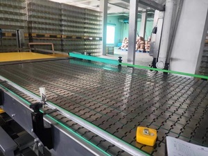 Linea di automazione degli imballaggi per alimenti e bevande con sistema di trasporto sincrono a catena piatta a più file - Product Image 6