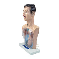 Model Lavase Gastrik Transparan PVC DARHMMY untuk Pendidikan Medis
