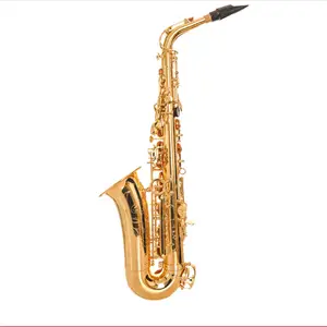 Professional E Flat Tenor Saxophone Gold Model
