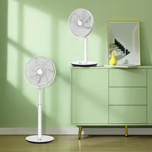 Rechargeable Brushless Dc Motor Fan 14 Inch Home Adjustable Wind Type Stand Fan