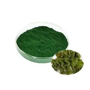 Odm/oem Kapsel extrakt pulver Hochreines organisches Spirulina-Pulver zum Verkauf Chlorella Regularis Pulver Spirulina-Extrakt