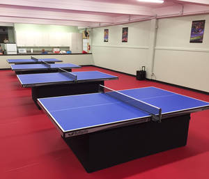 Tappetini per Campo da <span class=keywords><strong>Ping</strong></span> <span class=keywords><strong>Pong</strong></span> Indoor in PVC Approvati ITTF, Piastrelle Sportive Ignifughe ad Alta Densità 5.0mm - Product Image 6
