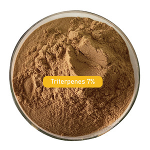 Estratto di funghi <span class=keywords><strong>Reishi</strong></span> biologici Premium in polvere 30% 50% polisaccaridi, Vegan e GMP certificati per il supporto immunitario, fornitura di massa - Product Image 2