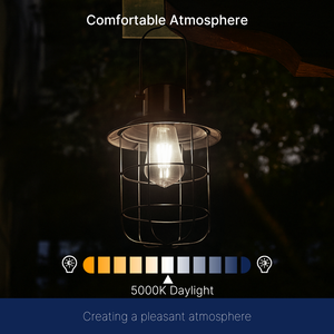 ST64,800 лм, 7 Вт (эквивалент <span class=keywords><strong>60</strong></span> Вт), 5000KE26, светодиодные лампы накаливания, освещение крыльца, в сумерках, рассвет, автоматический датчик света, датчик E27 - Product Image 6