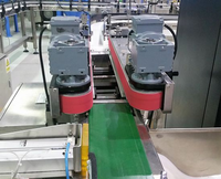 Convoyeur multifonctionnel pour étiqueteuse, courroie de serrage pour la transition des bouteilles, la ligne d'emballage cosmétique et pharmaceutique