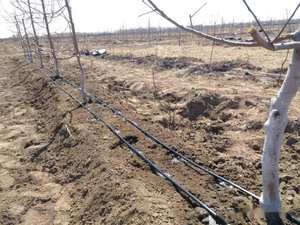 <span class=keywords><strong>Tubo</strong></span> di <span class=keywords><strong>irrigazione</strong></span> <span class=keywords><strong>a</strong></span> <span class=keywords><strong>goccia</strong></span> durevole 16mm di alta qualità <span class=keywords><strong>a</strong></span> basso prezzo - Product Image 6