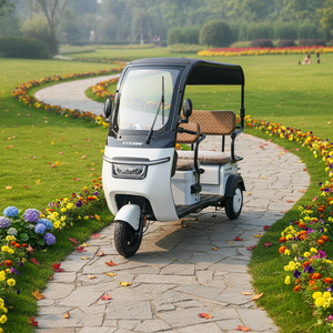 Tricycle <span class=keywords><strong>électrique</strong></span> 3 roues, moteur sans balais 1200W, vitesse maximale <span class=keywords><strong>45</strong></span> <span class=keywords><strong>km</strong></span>/<span class=keywords><strong>h</strong></span>, batterie au plomb-acide 72V 20AH, cadre en acier, autonomie 80 <span class=keywords><strong>km</strong></span>, frein à tambour - Product Image 6