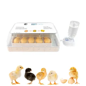 Incubateurs automatiques pour œufs de poule à adduction d'eau couveuses œufs à couver 15 œufs de poule