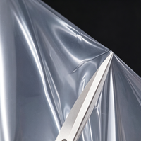 Film de protection transparent en PET pour emballage extérieur de produits, personnalisable, résistant à l'humidité et aux hautes températures