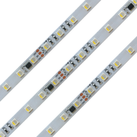 TM1814 TM1824 RGBW 24V Dream цветная светодиодная лента 3-летняя гарантия SM16704 60 светодиодов/м RGBIC RGBWIC Адресуемая Пиксельная полоса IP65