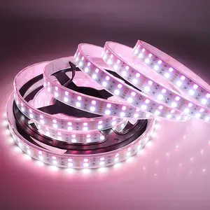 ストリップライト12V 24V smd 3528 3014 5630 5050フレキシブルホワイトRGB LED