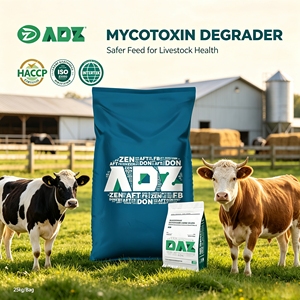 Aditivo para Alimentos con Seis Tipos <span class=keywords><strong>de</strong></span> Micotoxinas que Previenen <span class=keywords><strong>la</strong></span> Endometritis y <span class=keywords><strong>la</strong></span> <span class=keywords><strong>Mastitis</strong></span> en Cerdos, Vacas y Aves <span class=keywords><strong>de</strong></span> Corral - Product Image 3