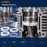 Anneau de guidage de compresseur en PTFE rempli de carbone pour compresseur alternatif sans huile, taille personnalisée, fourniture d'usine OEM Dlseals