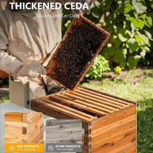 Kit completo de colmena de abejas de 40 marcos, caja de colmena de abejas de madera Langstroth con techo de metal para Apicultura - Product Image 2