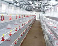 Nouvelle cage à poules pondeuses SaBo-01 de type A 96/128/160/200, équipement d'alimentation automatisé en acier à faible teneur en carbone pour poules pondeuses, durable