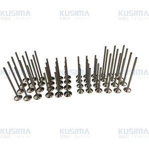 วาล์วไอดีเครื่องยนต์วาล์วไอเสียวาล์วเครื่องยนต์สำหรับรถ Audi A8 W12 6.0 022109601E 022109611B 022109611C - Product Image 3